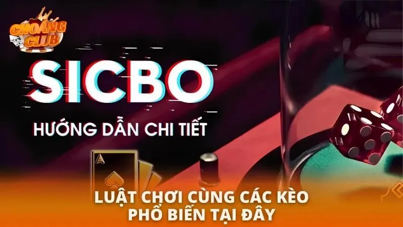 Hướng dẫn chi tiết quy tắc tính điểm xúc xắc chuẩn quốc tế