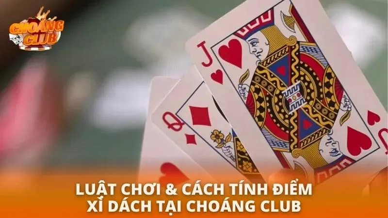 Làm chủ bàn xì dách với luật chơi đơn giản
