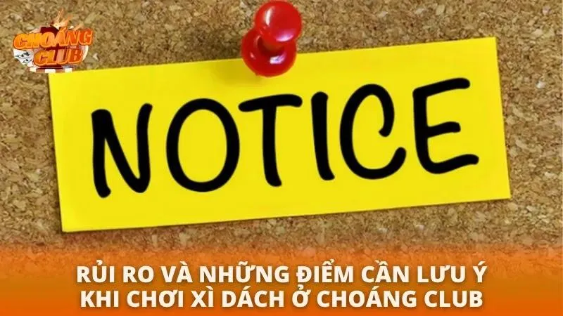 Những điều cần tránh khi tham gia đánh xì dách